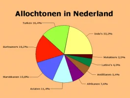 Niet-westerse allochtonen (incl. Indo’s) in Nederland in 2008 (Wikipedia)