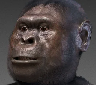 Reconstructie van 'Lucy de Australopithecus' (cc - Cicero Moraes)
