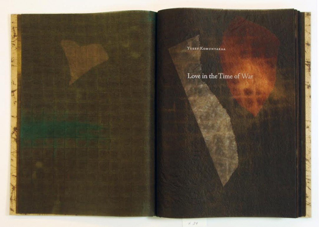 Yusef Komunyakaa, Love in the time of war, Robin Price, 2013