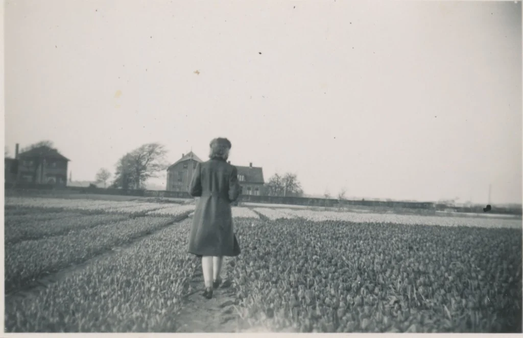 Van Waveren familiealbum - Vrouw in bollenveld, 1955