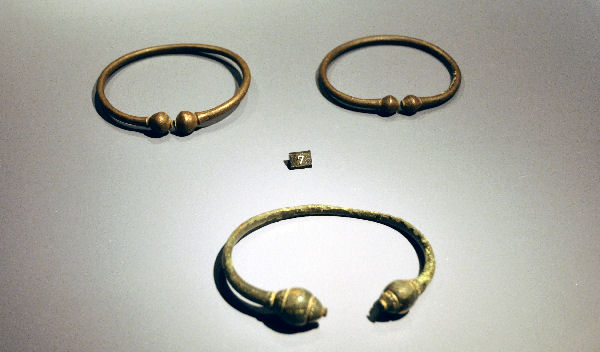 Krijgerssierraden uit Rossum uit de Late IJzertijd. Ze zijn iets ten westen van het nu geïdentificeerde slagveld gevonden en – als ik het wel heb – in 2006 verworven door het Rijksmuseum van Oudheden.