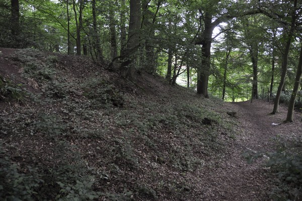 De wal van het heuvelfort in het Bois du Grand Bon Dieu.