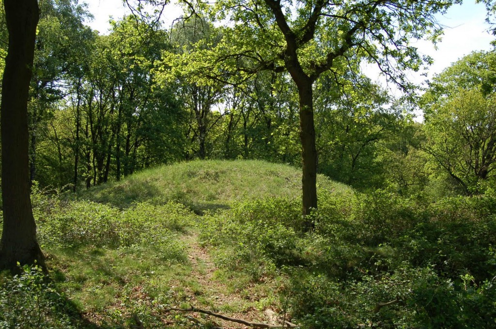 Neolithische grafheuvel bij Wolfheze