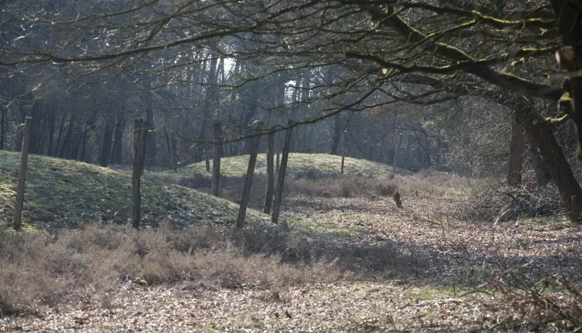 Grafheuvels met paalkransen (RCE)