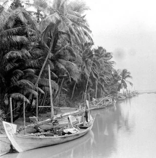 Kustgezicht met klappers (Royal Tropical Insitute)