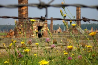 Ruïnes van barakken in Auschwitz