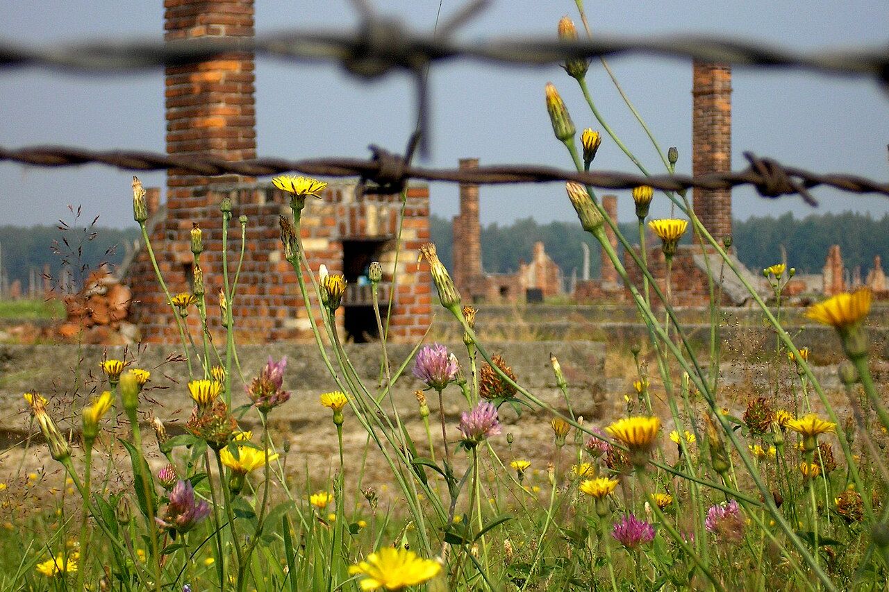 Ruïnes van barakken in Auschwitz
