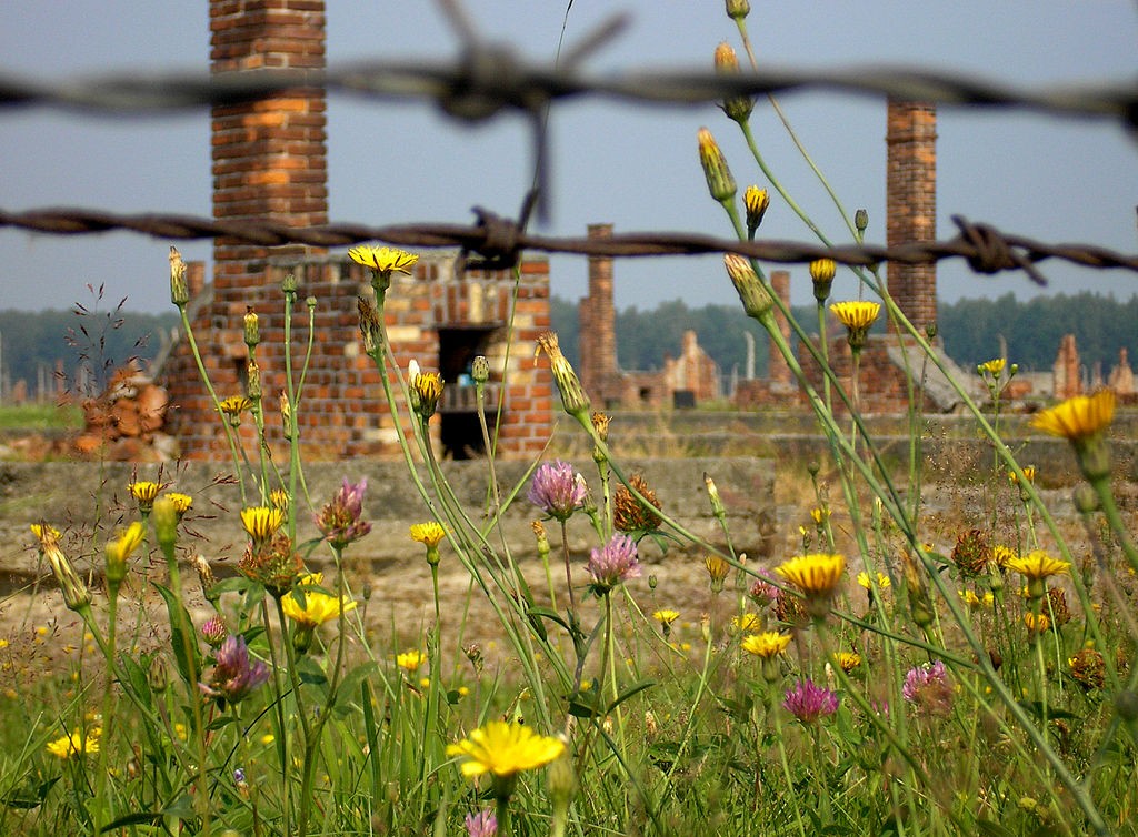 Ruïnes van barakken in Auschwitz - cc