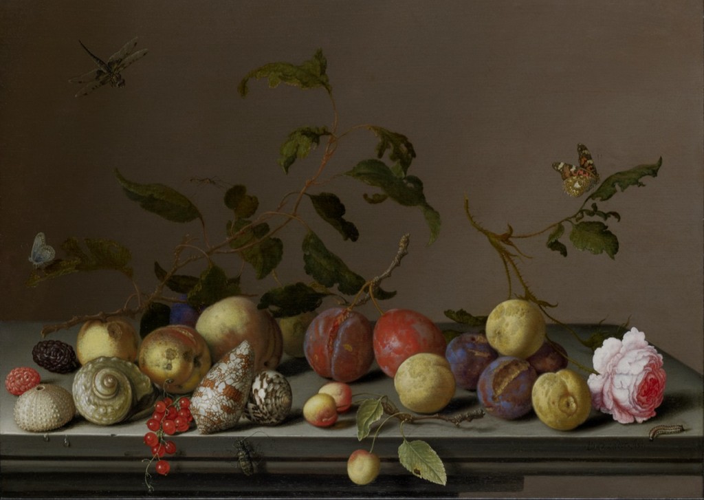 Stilleven met vruchten en slakkenhuizen - Balthasar van der Ast (Suermondt-Ludwig Museum)