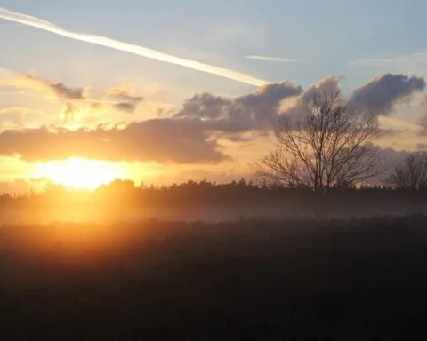 Natuur bij Nunspeet