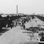 De ‘Boulevard des Misères’, zoals de hoofdweg door de kampgevangenen werd genoemd. Langs deze weg lag de spoorlijn en vertrokken in de Tweede Wereldoorlog de treinen naar de vernietigingskampen in het oosten. (Kamp Westerbork)