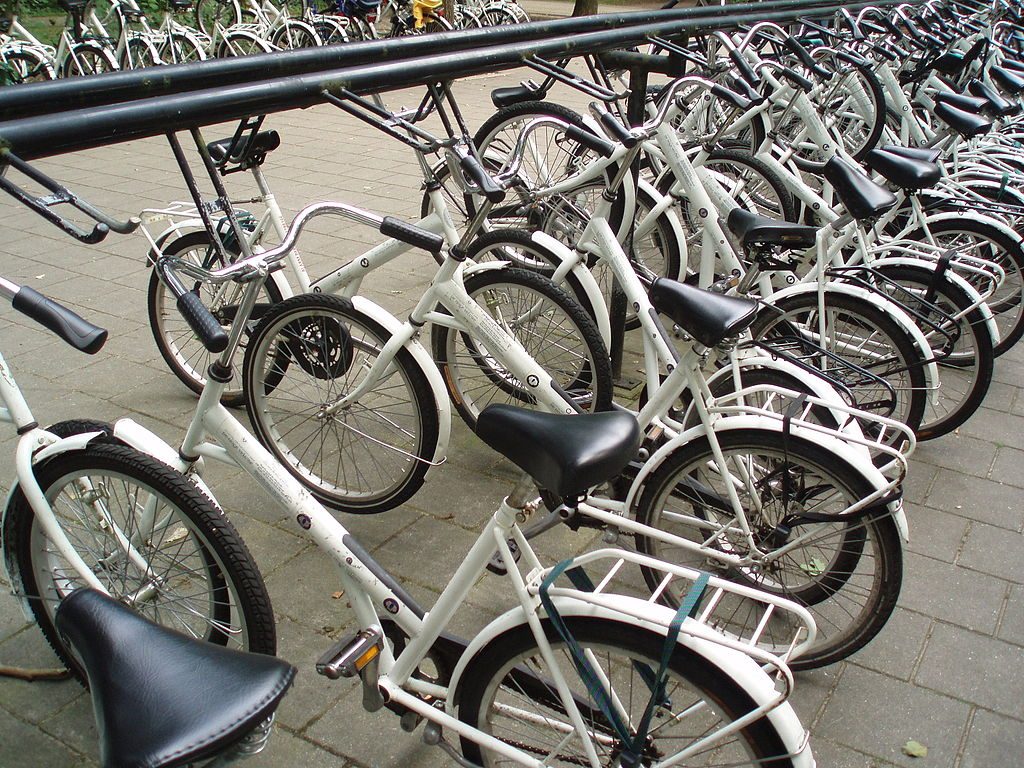 Witte fietsen in Nationaal Park de Hoge Veluwe - cc