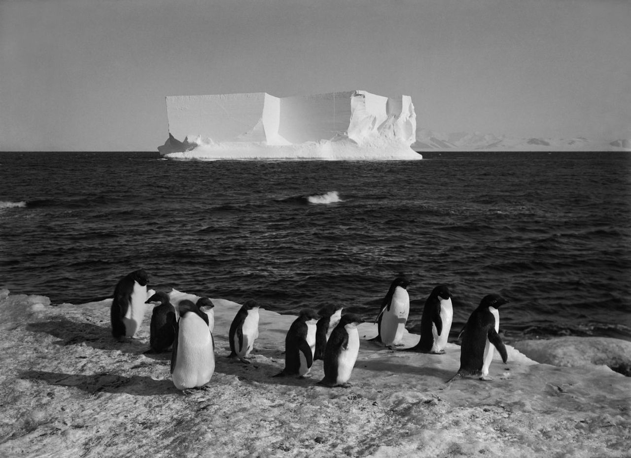 Herbert Ponting - Antarctica