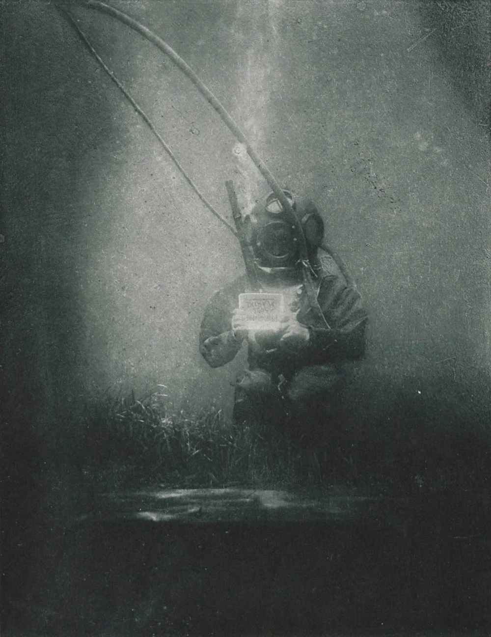 Deze onderwaterfoto maakte Louis Boutan in 1899 - cc
