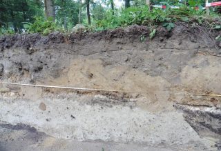 Foto gemaakt tijdens de opgraving door Ben Olde Meierink (NKS)