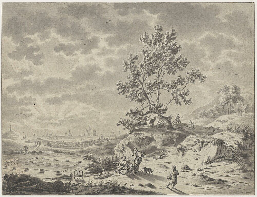 Een vinkenbaan in de duinen