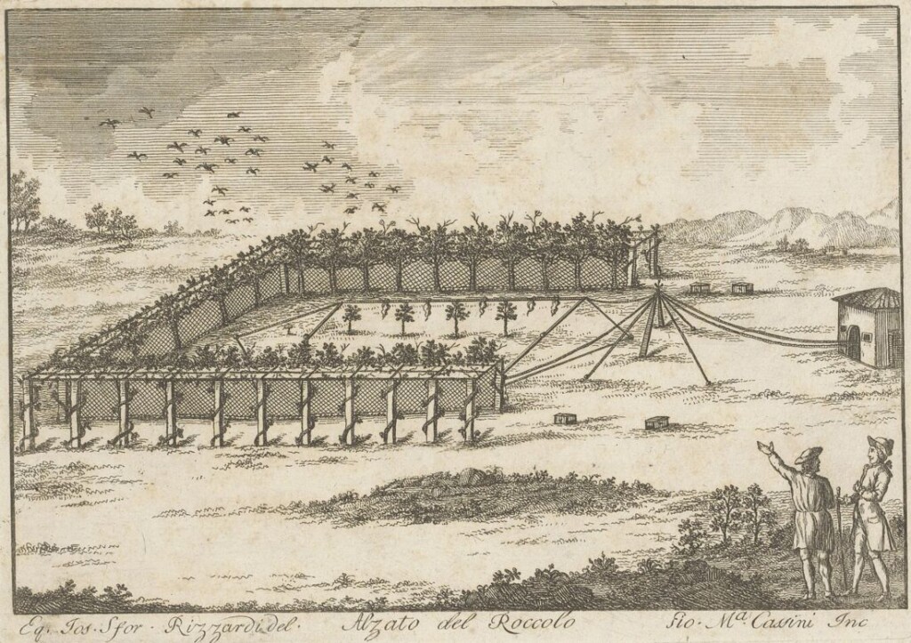 Zicht op een vinkenbaan - Alzato del Roccolo, ca. 1750