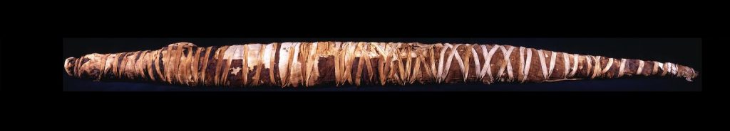 Mummie van een krokodil - Collectie en foto Rijksmuseum van Oudheden