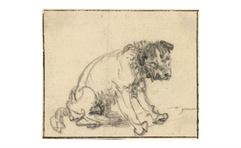 De ontdekte tekening van Rembrandt (Herzog Anton Ulrich-Museum)