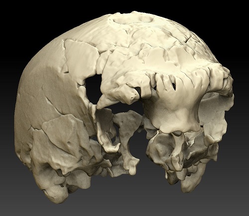 De Aroeira-schedel (Universiteit van Barcelona)