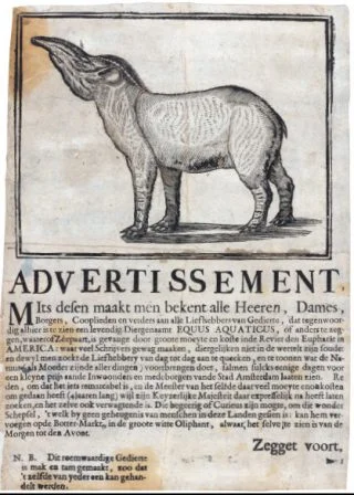 Het strooibiljet waarin bekend werd gemaakt dat de ‘Equus aquaticus’ te zien was bij de herberg De Witte Oliphant aan de Botermarkt. Anoniem, 1704