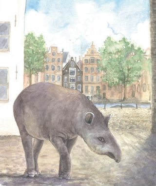 De tapir van 1704, naast de herberg De Witte Oliphant, met op de achtergrond de Amstel. Afbeeldingen: Exotische dieren in historisch Amsterdam
