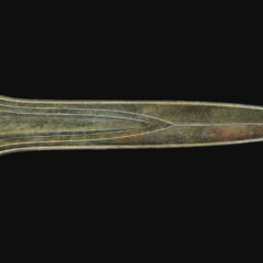 Het Zwaard van Ommerschans – Ceremonieel zwaard uit de bronstijd