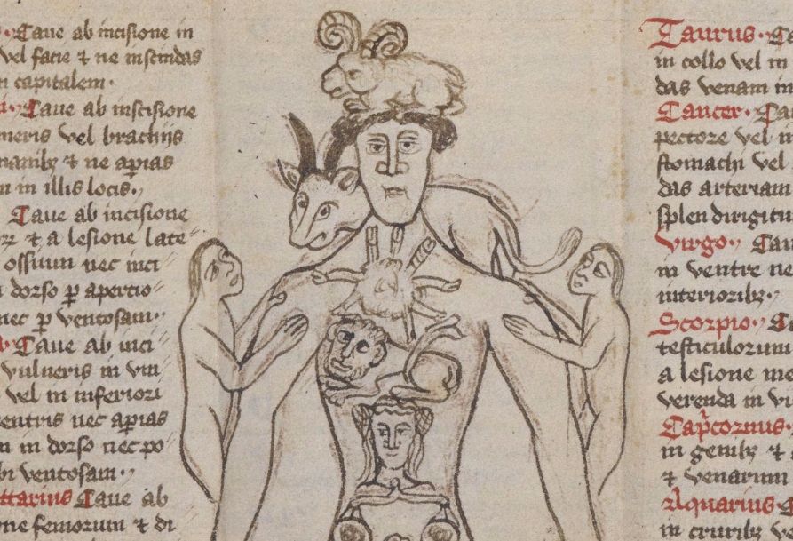 Afbeelding uit het manuscript (British Library)