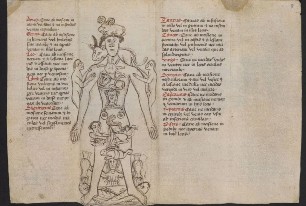 Zodiac Man in het manuscript (British Library)