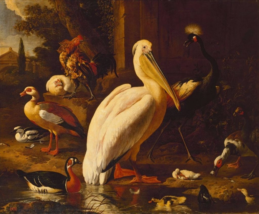 Melchior de Hondecoeter, Vogels in een park, 1686 © State Hermitage Museum, St Petersburg