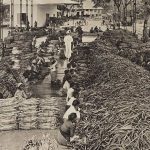 Suikerfabriek in Indie, 1913 (Commonswikimedia/ KITLV)