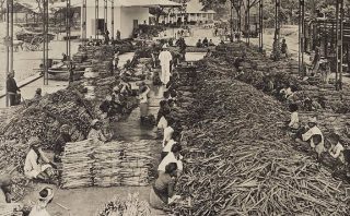 Suikerfabriek in Indie, 1913 (Commonswikimedia/ KITLV)