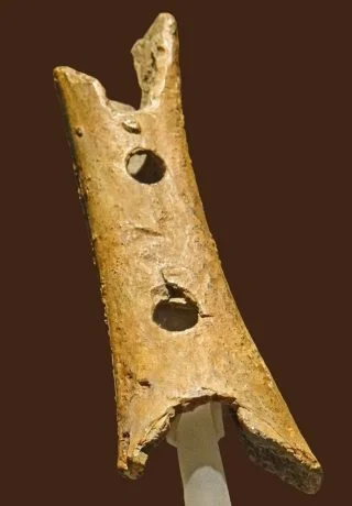 De fluit van Cerkno zoals te zien in het museum (cc)