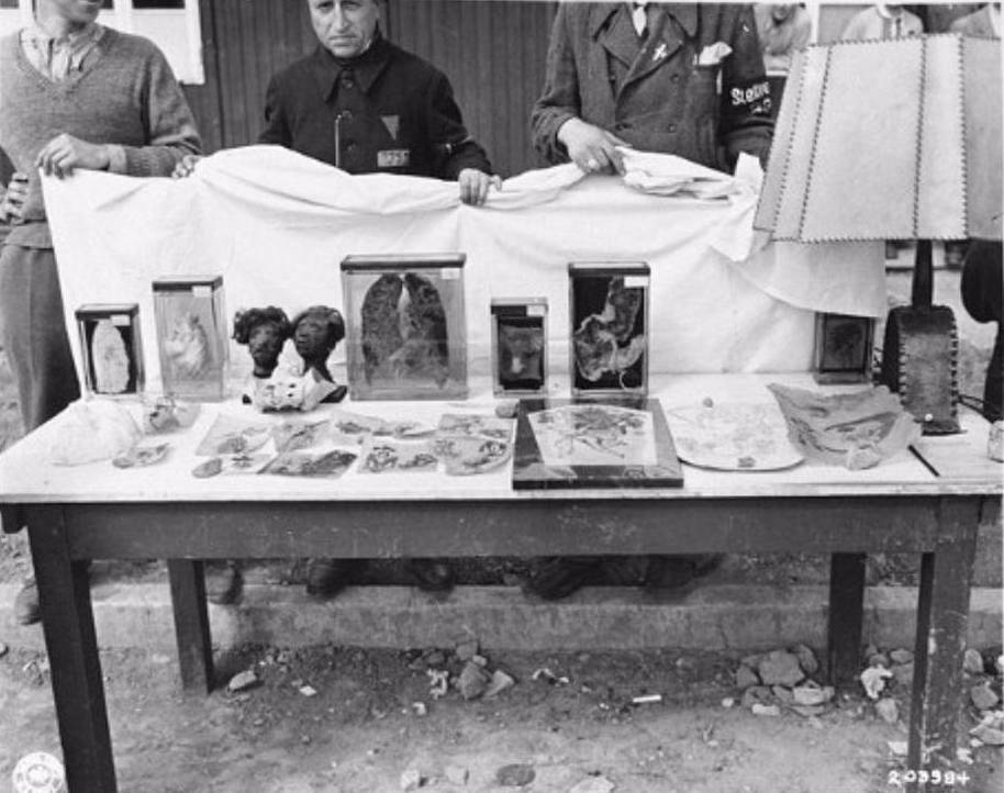 Uitgestald op tafel in het bevrijdde Buchenwald liggen getatoeëerde stukken mensenhuid, menselijke lichaamsdelen op sterk water en een lampenkap die van mensenhuid gemaakt zou moeten zijn. National Archives Washington / Publiek domein