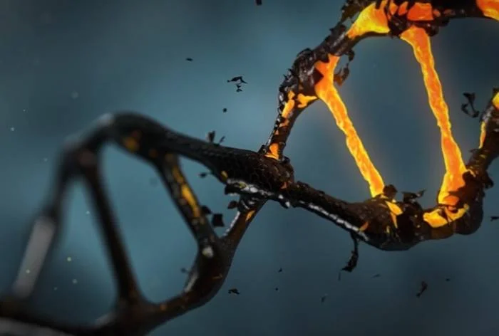DNA-molecuul (cc - Pixabay - lisichik)