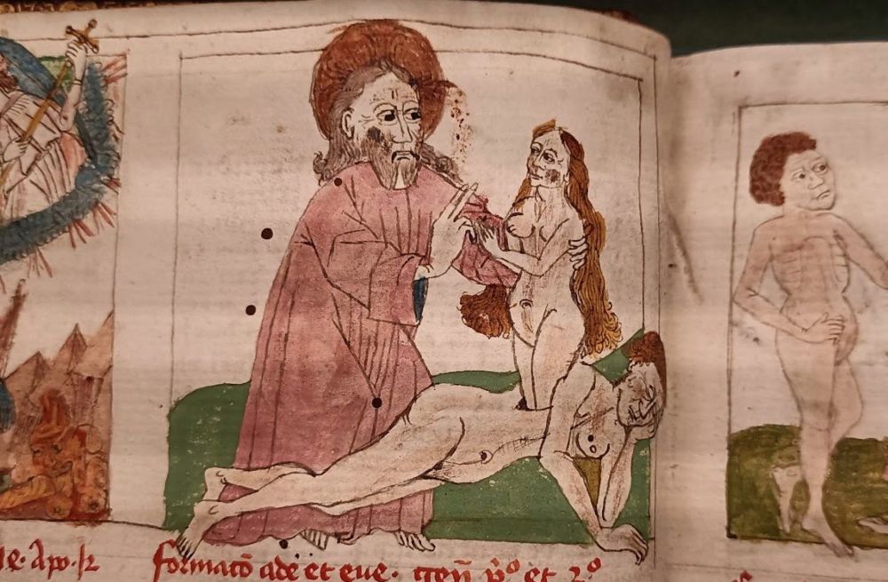 Eva wordt geboren uit de rib van de man - Speculum hamanae salvationis - Handschrift, Keulen, ca. 1450