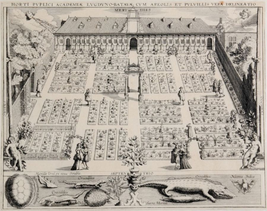 De Leidse Hortus anno 1610 (Woudanus)