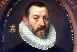 De Vlaamse arts en botanicus Carolus Clusius