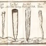De gevreesde paalworm volgens een pamflet uit 1733