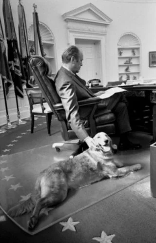 Gerald Ford met zijn golden retriever in het Oval Office, 1974 (Gerald R. Ford Presidential Library)
