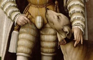 Detail van een portret van keizer Karel V, met een flinke 'kul' (geen flauwekul dus)