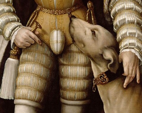 Detail van een portret van keizer Karel V, met een flinke 'kul' (geen flauwekul dus)