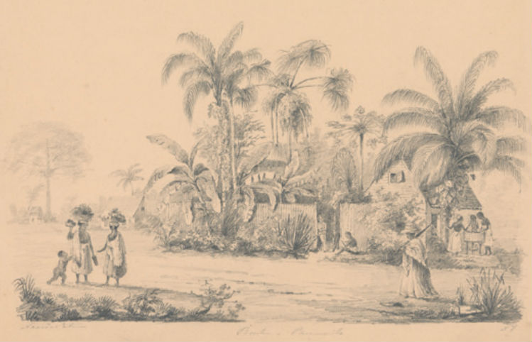 Straatgezicht net buiten Paramaribo, 1849-1851. Bron: Ketens en banden