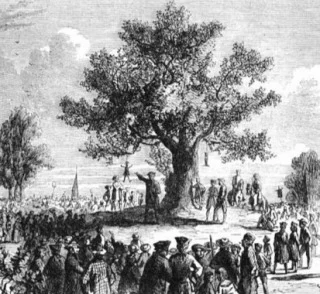 Liberty Tree in Boston - wiki