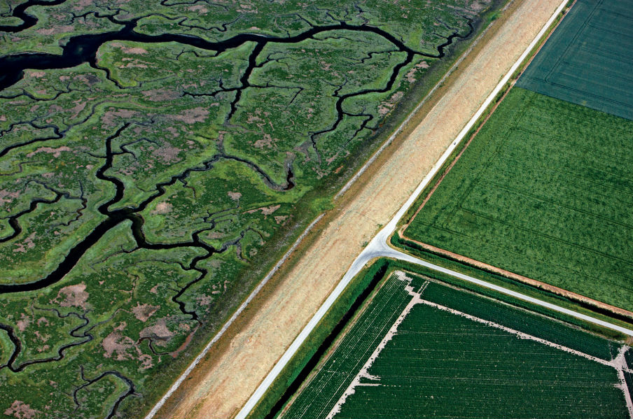 Het Verdronken Land van Saeftinghe (links) in Zeeuws-Vlaanderen, grenzend aan landbouwgrond.