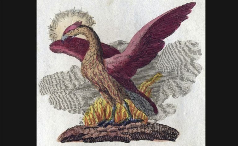 Als Een Feniks Uit De As Herrijzen Uitdrukking Historiek
