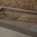Skelet van een man uit Ezinge (Museum Wierdenland)
