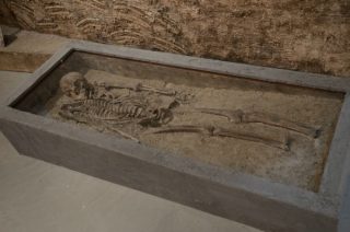 Skelet van een man uit Ezinge (Museum Wierdenland)