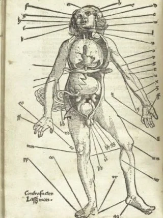 Aderlaatpunten in het Feldbuch der Wundarzney 1517, door Hans von Gersdorff, illustratie Hans Wechtlin (Publiek Domein - wiki)