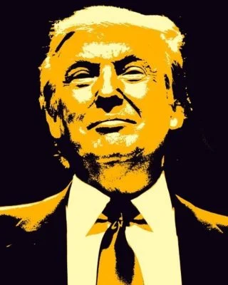 De Amerikaanse president Donald Trump wordt door velen beschouwd als een typische populist (cc0 - Pixabay - TheDigitalArtist)